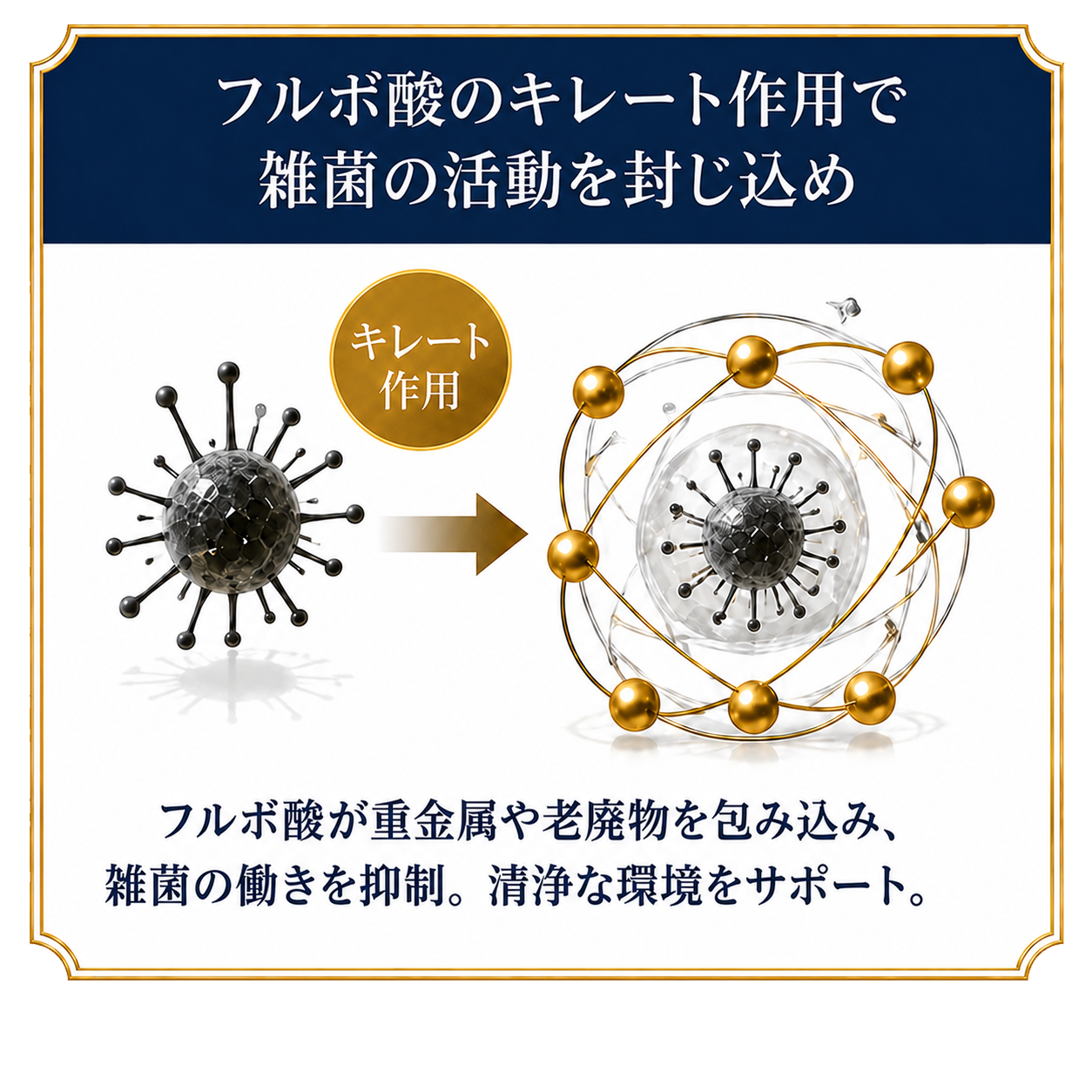 フルボ酸のキレート作用