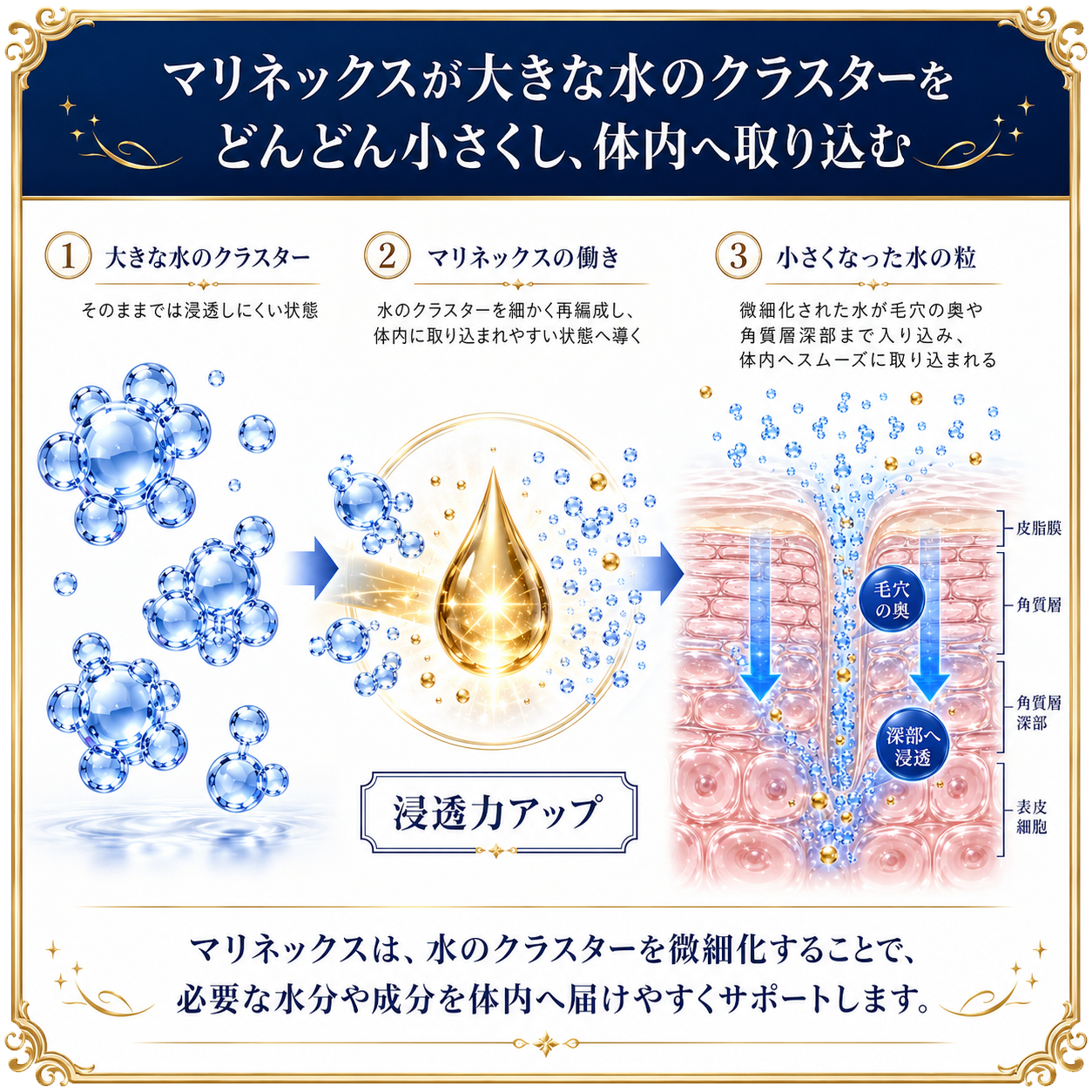 水のクラスター（分子の集まり）を小さくする作用
